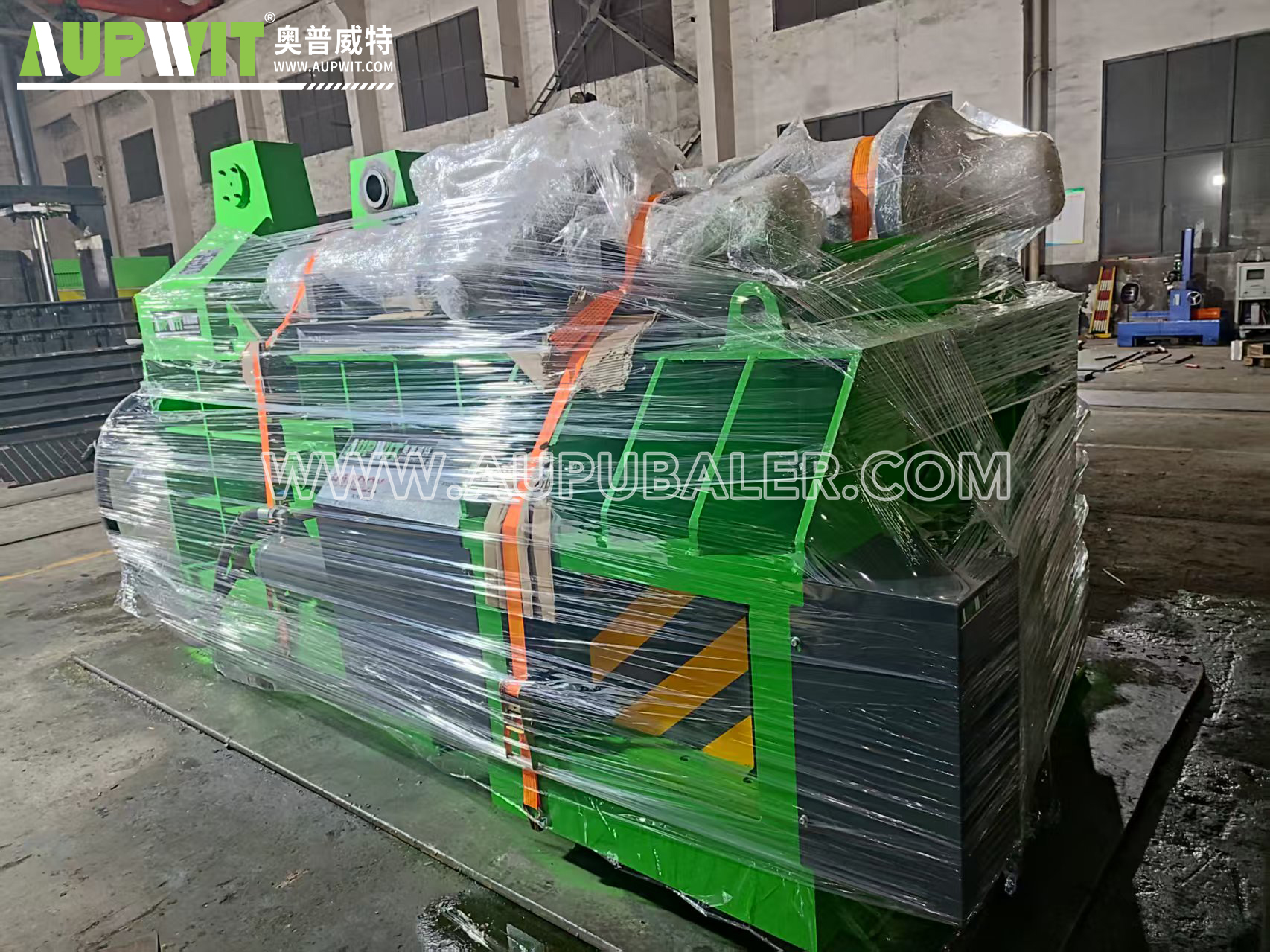 Y81T-250AZ F1002 (3)